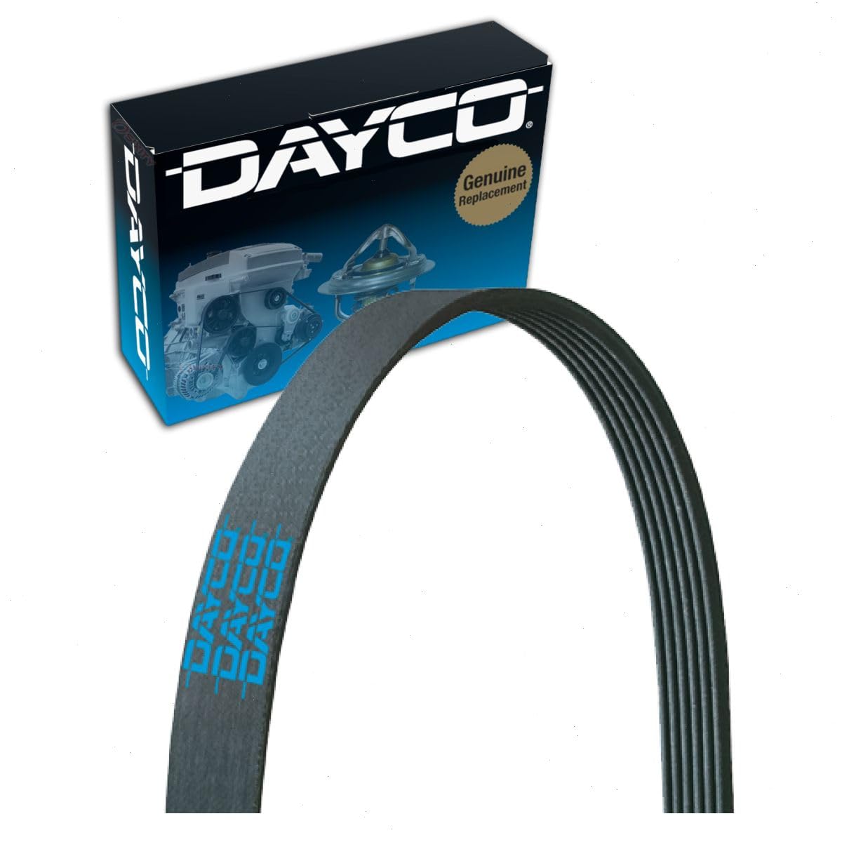 Dayco Main Drive Serpentine Belt Compatible with Chrysler Town & Country 3.3L 3.8L V6 2001-2007
