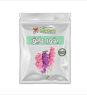 Baeback Seeds for Home Farming