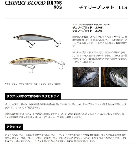 スミス(SMITH LTD) ミノー チェリーブラッド LL S 70mm 7.7g #03 TSスラッシュ 3枚目