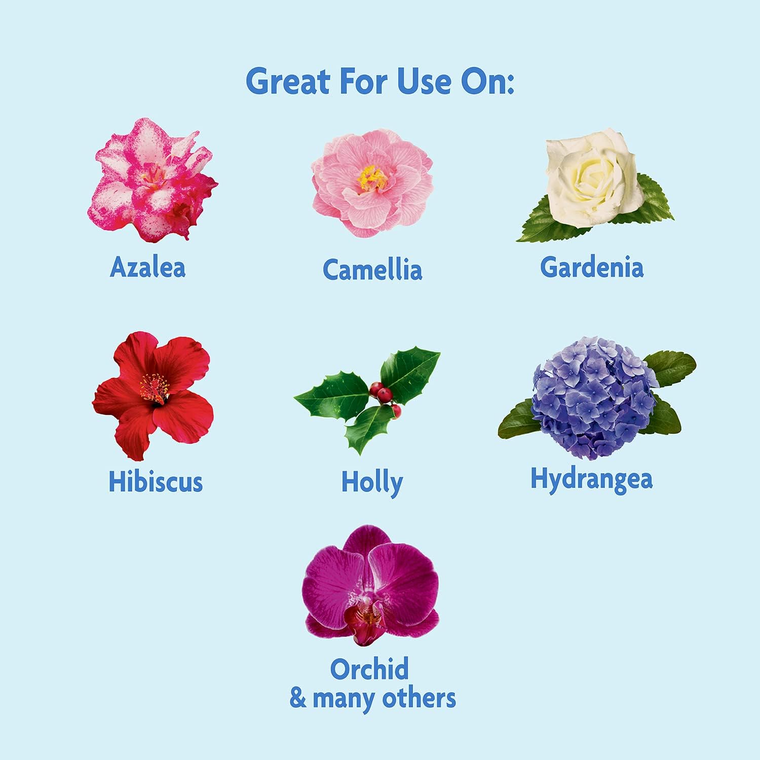 Miracle-Gro Miracid Plant Food - Image 6