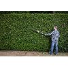 RYOBI RPT184520 ONE+ 18V Cordless Pole Hedge Trimmer, Hyper Green, 45 ...