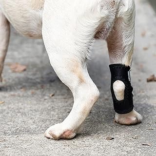 ペット 膝サポーター