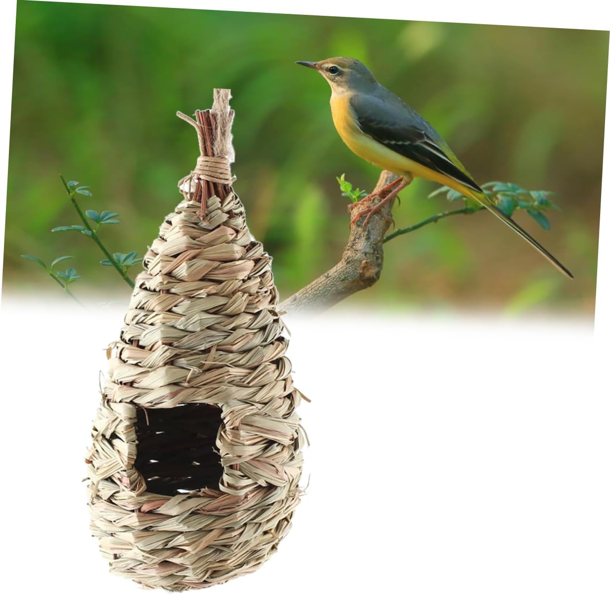 FRCOLOR 6pcs Handmade Grass Birdhouse Nest Natural Hanging Nest for Parakeets Finch Budgie