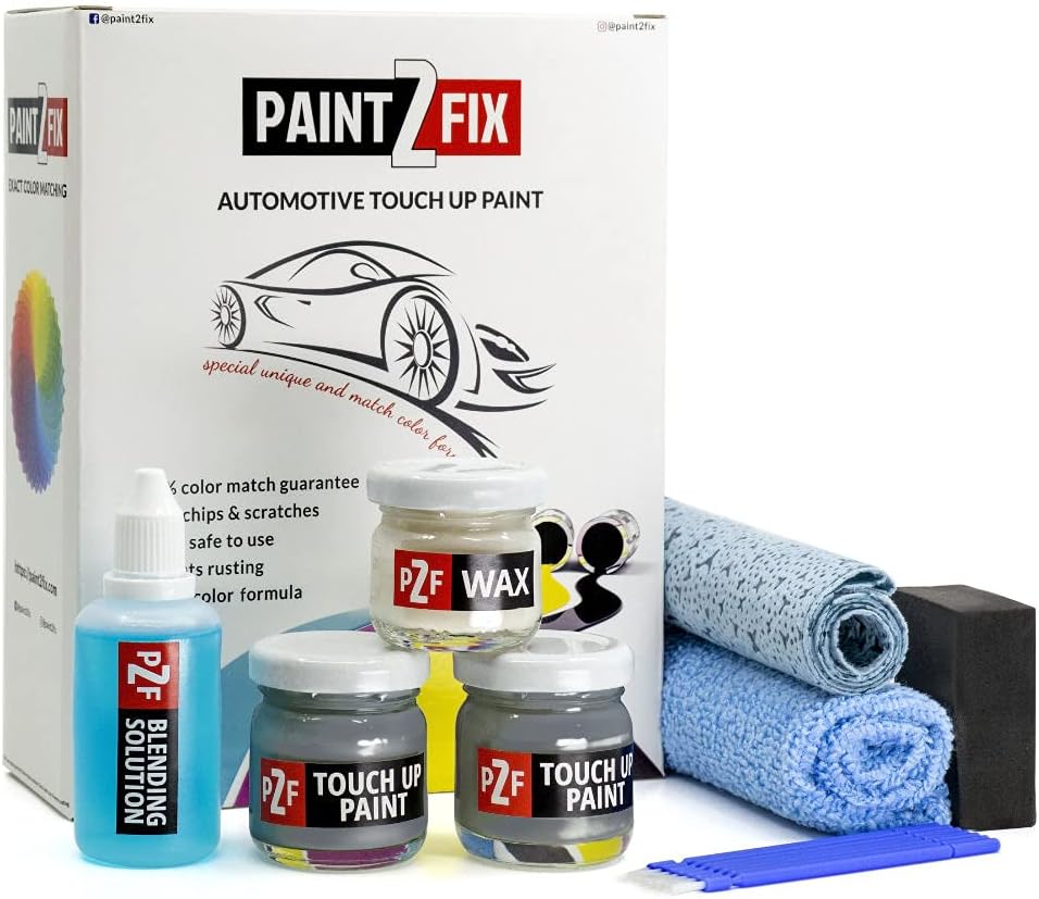 SSS Savile Silver Touch Up Paint Kit for Genesis Scratch and Chip Repair - 0.84 Fl Oz (25ml)