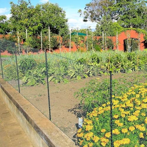 SUNYRISY Hühnerzaun Geflügelnetz Gartenzaun, 50m x 100cm Mobiler Hundezaun Weidezaun Steckzaun Begrenzungszaun Zchafzaun Fence für Garten, Nylon Material