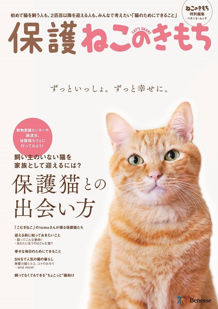 ねこのきもち 62冊 保護ねこのきもち (ベネッセ・ムック ねこのきもちブックス