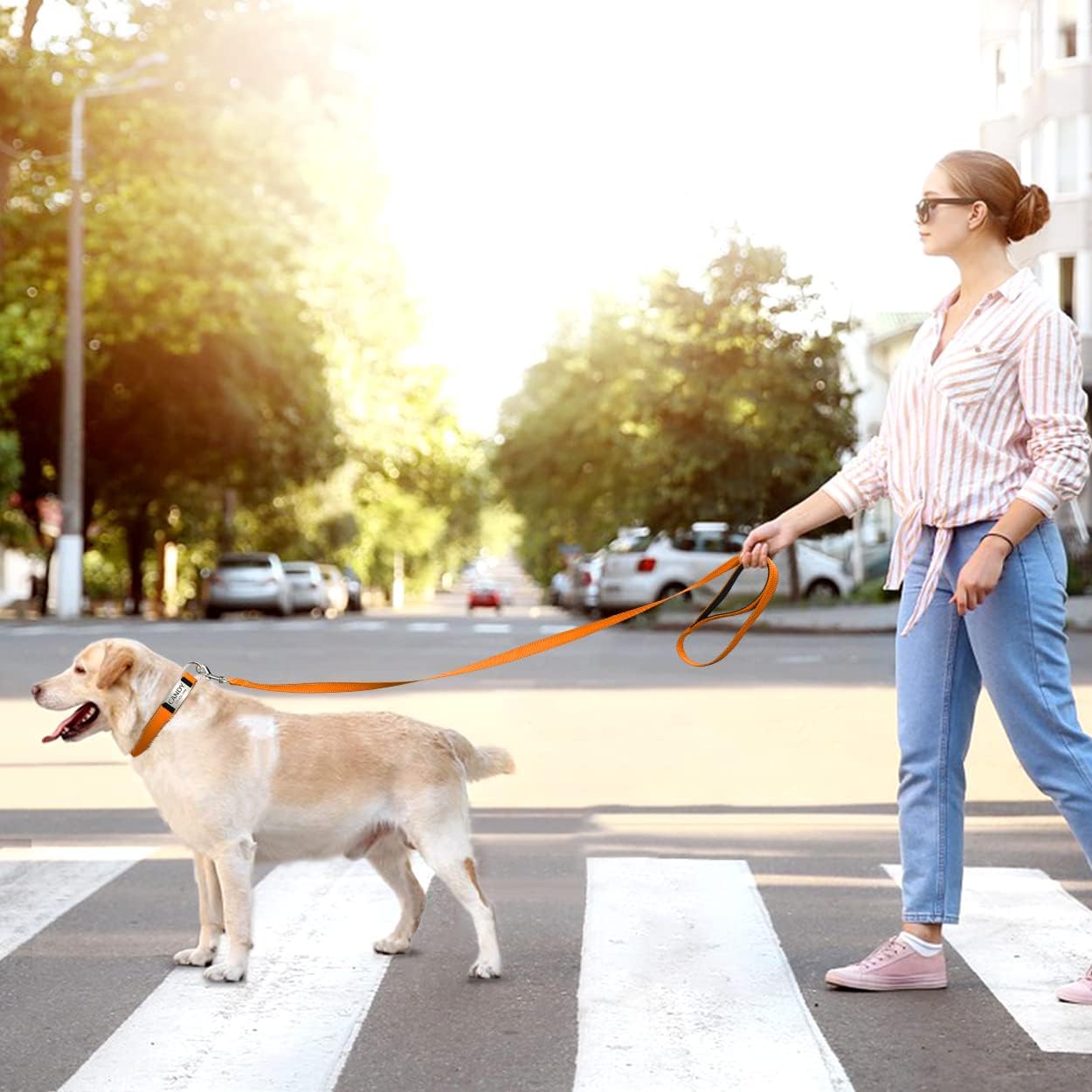 TagME 5FT Double-Sided Reflective Dog Leash, Soft Padded Handle Nylon Dogs leashes for Walking and Training for Medium & Large Dogs, Orange