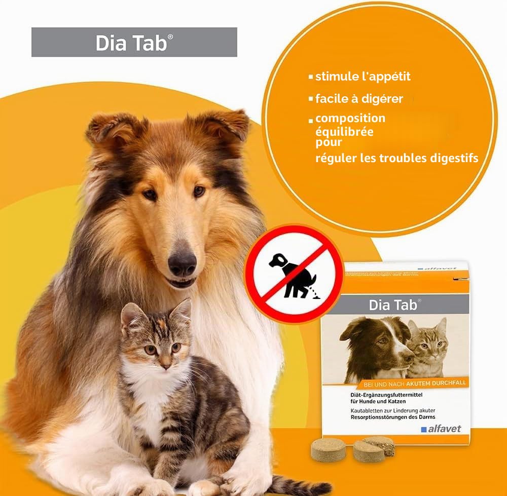 alfavet Dia Tab, complément Alimentaire diététique pour Chiens et Chats, comprimés à mâcher Contre la diarrhée et Les vomissements, 60 x 5,5 g