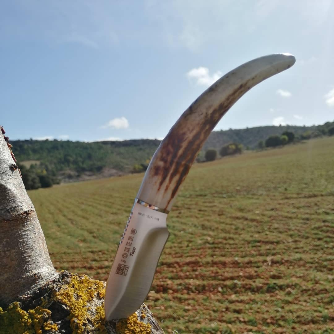 joker Coltello Bushcraft con ciondolo per il collo ciondolo corno di cervo bracciale, lama in acciaio inox MOVA 7,5 cm, 81 grammi, CC57 per attività di Pesca, l'Escursionismo, Il Campeggio