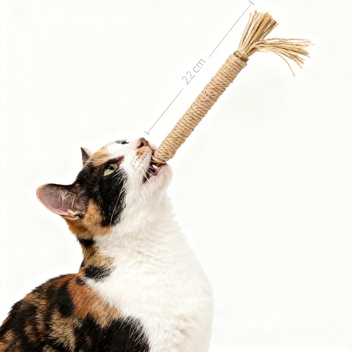 GDSAFS Natural Silvervine Dental Sticks, Silvervine Sticks für Katzen, Interaktiver Katzen-Kaustab für Zahnreinigung, kratz- und bissfest, für Indoor-Kitty-frischen Atem, gesunde Zähne (6-MixAB)