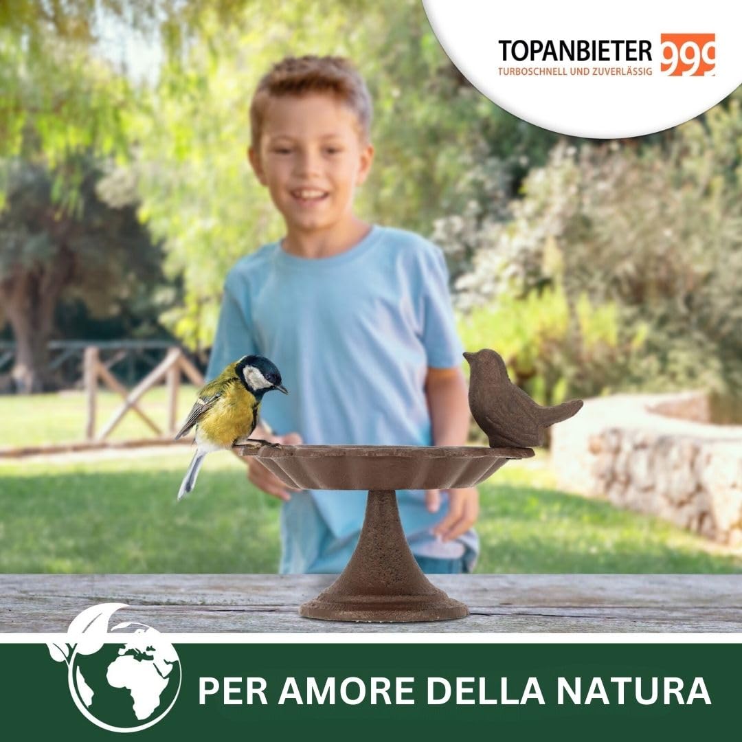 Abbeveratoio per uccelli per uccelli selvatici, punto d'acqua, resistente alle intemperie e al gelo (uccelli con piede)