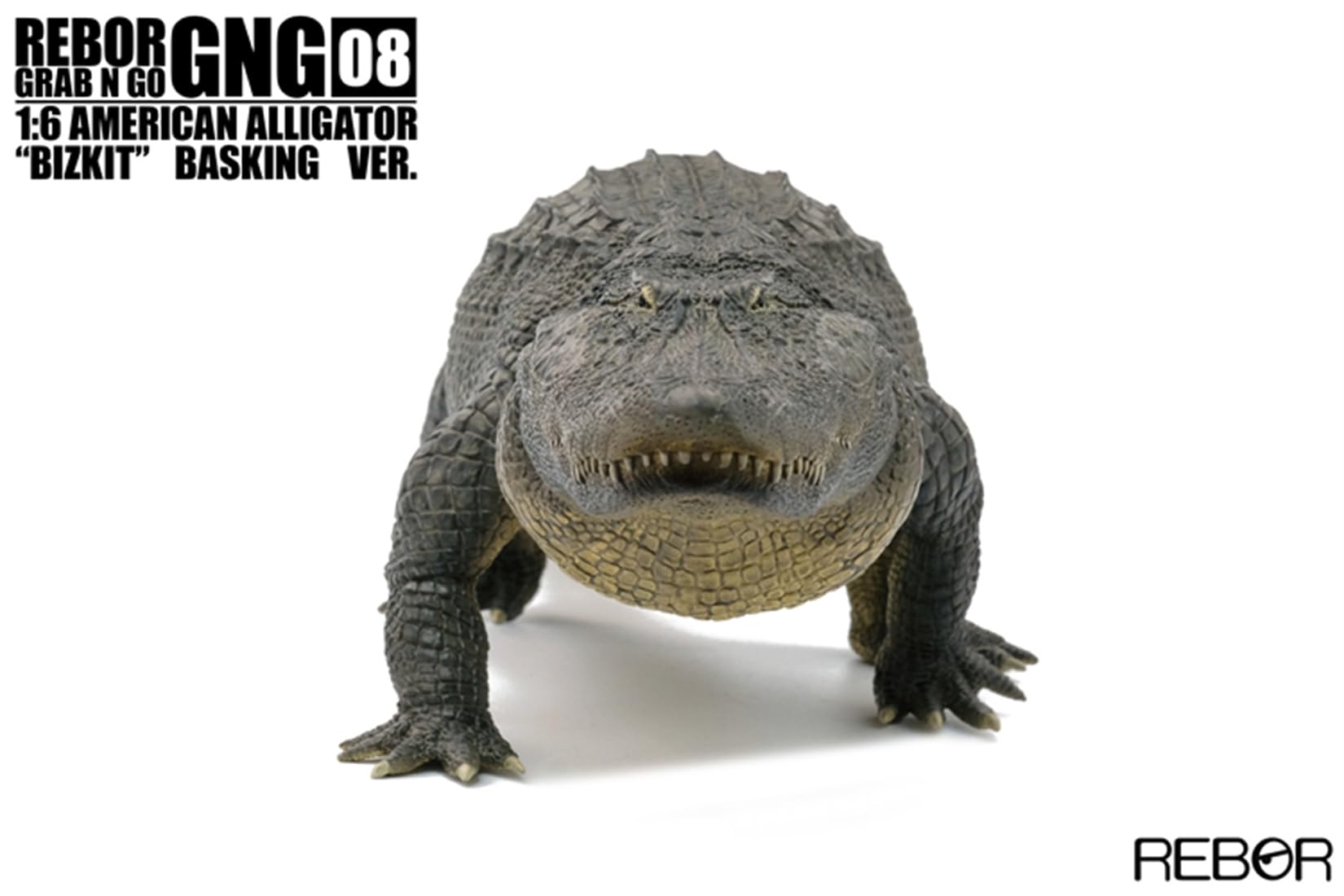 Amazon | EUHELOPA REBOR 1/6サイズ アメリカアリゲーター 動物