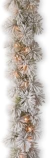 National Tree Company Pre-Lit Artificial Christmas Garland, Green, Glittery Bristle Pine, White Lights, Decorated With Frosted Branches, Plug In, Christmas Collection, 9 Feet
