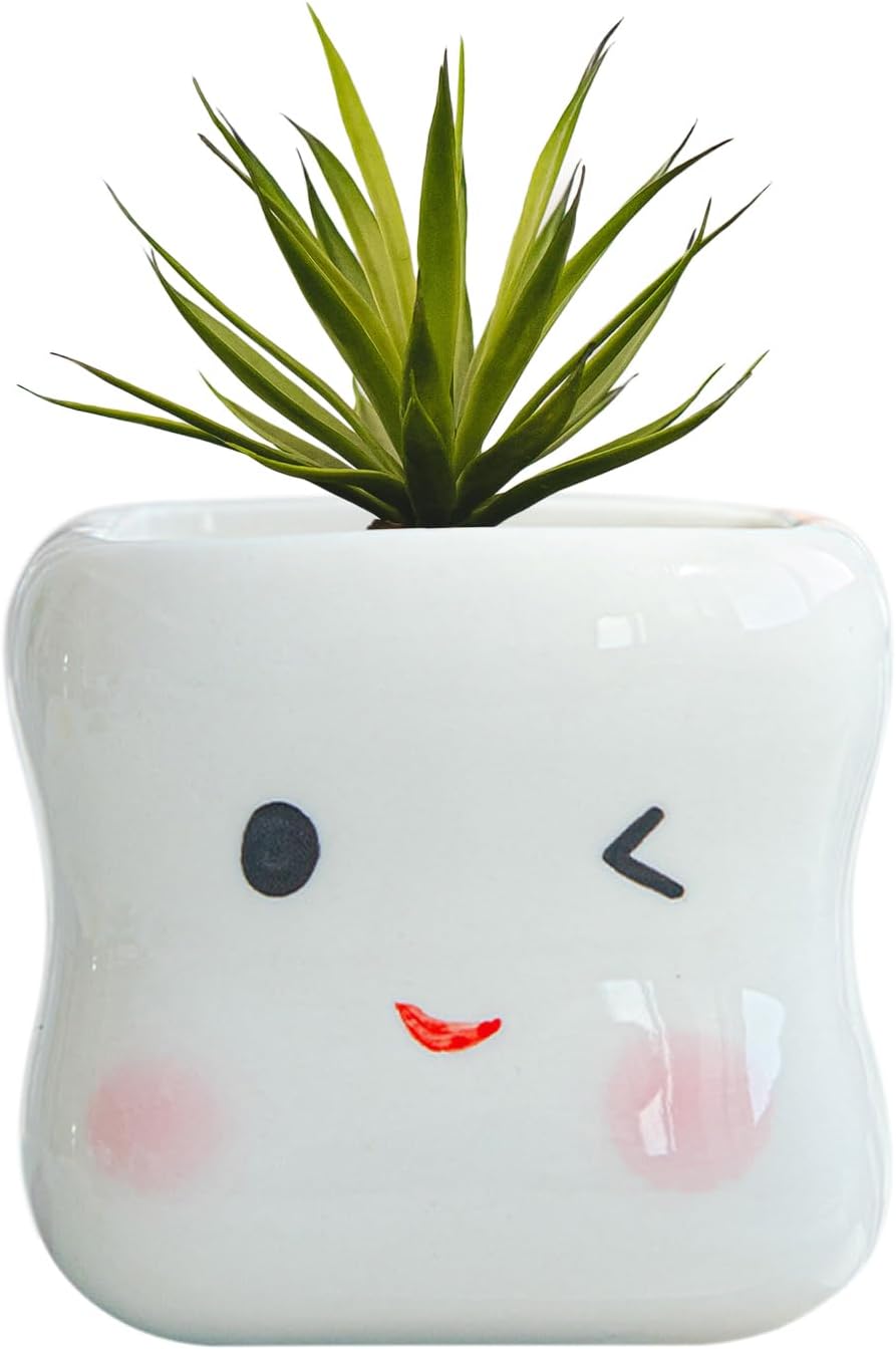Cute Smiling Cartoon Face Succulent Planter, Small White Ceramic Flower Pot Tooth-Shaped Plant Pot for Small Plants, Home & Office Desk Decoration - No Plants Included (Style B)
