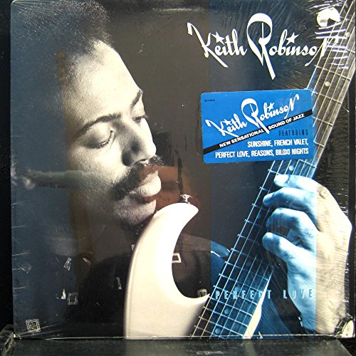 Perfect Love [Vinyl LP] - Album de musique au format disque vinyle