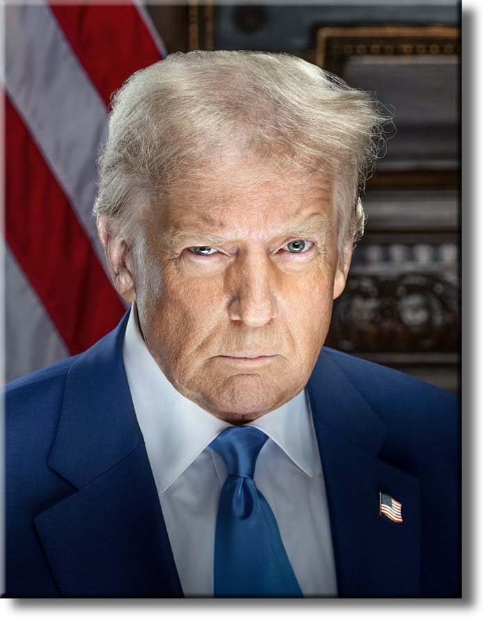 Amazon.co.jp: 公式ドナルド・トランプの肖像画、ストレッチキャンバス