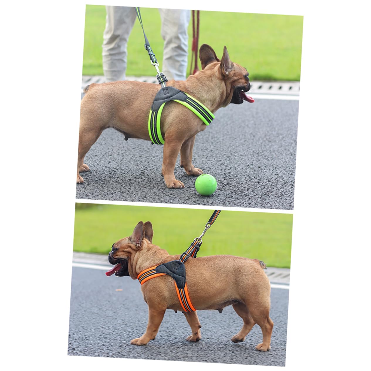 Imbracatura Riflettente e Traspirante per Cani Regolazione Pet Harness Set per Passeggiate Quotidiane