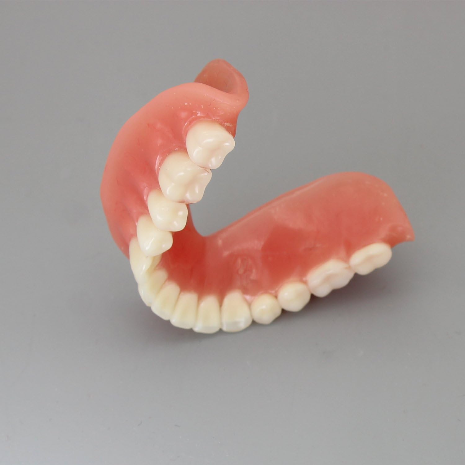 Dental Model Overdenture Inferior 4 Implants Demo for Teaching and Studying