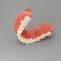 Vista 6 de Demostración de implantes inferiores de 4 implantes para enseñar y estudiar