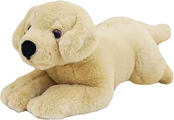 614IuuFRLdL._AC_UF350, 614IuuFRLdL._AC_UF350,