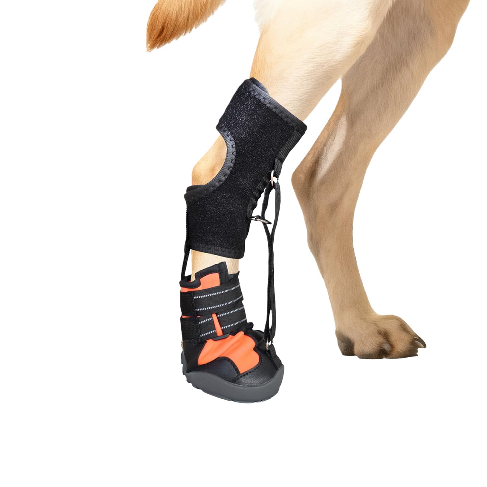 Not Knuckling Boot Brace Drops Foot Brace with Reel for Dog Corrective Dogs Shoes for Feet Issue,Improving Walking Gait Corrective Dog Shoes