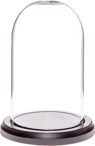 Plymor Cúpula de cristal de 3 x 5 pulgadas (base de madera MDF negra)