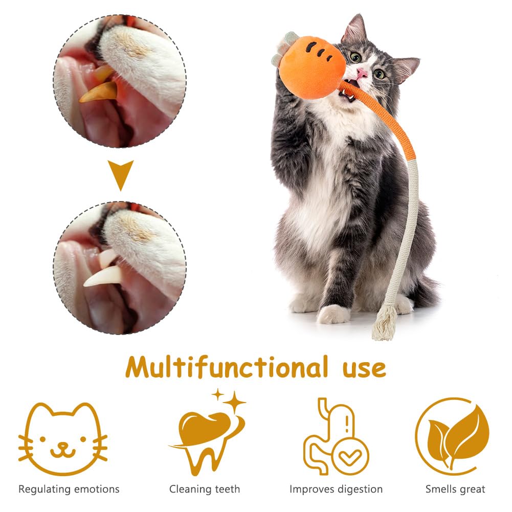 Jouet Chat, 4PCS Jouets Interactifs pour Chat, Corde à Taquiner pour Chat, Jouet De Dentition Chaton pour L'interaction Et Le Nettoyage des Dents