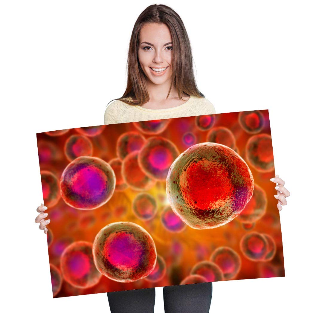 Destination Vinyl Posters A1 - Embryonic Stem Cells Biology Science Art Print 90 X 60 cm 180gsm satin gloss photo paper #16852