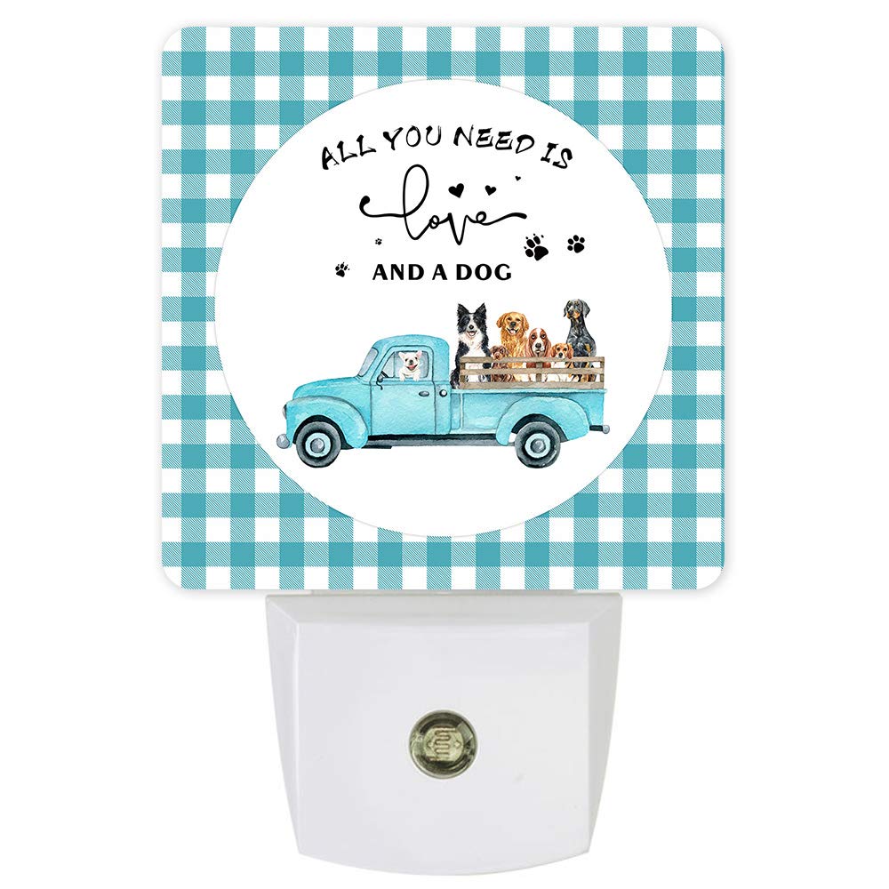 Do Puppies Need A Night Light