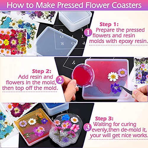 Flores secas prensadas, 120 piezas para manualidades miniatura 6