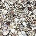 PEPPERLONELY Extra Tiny Mix Sea Shells, Very Small & Clean, 8 OZ Apprx. 1600+ PC Shells, 1/4 Inch ~ 1/2 Inch