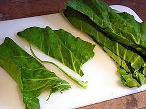 Miniatura 3 de Semilla verde berza, campeón, reliquia, sin OMG, más de 50 semillas, verdes