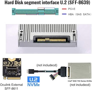 2230 PCI-E4.0 M.2 M-key Male to Oculink SFF-8612 SFF-8611 Host Vertical Adapter for NVME U.2 SSD eGPU External Graphics Card Dock