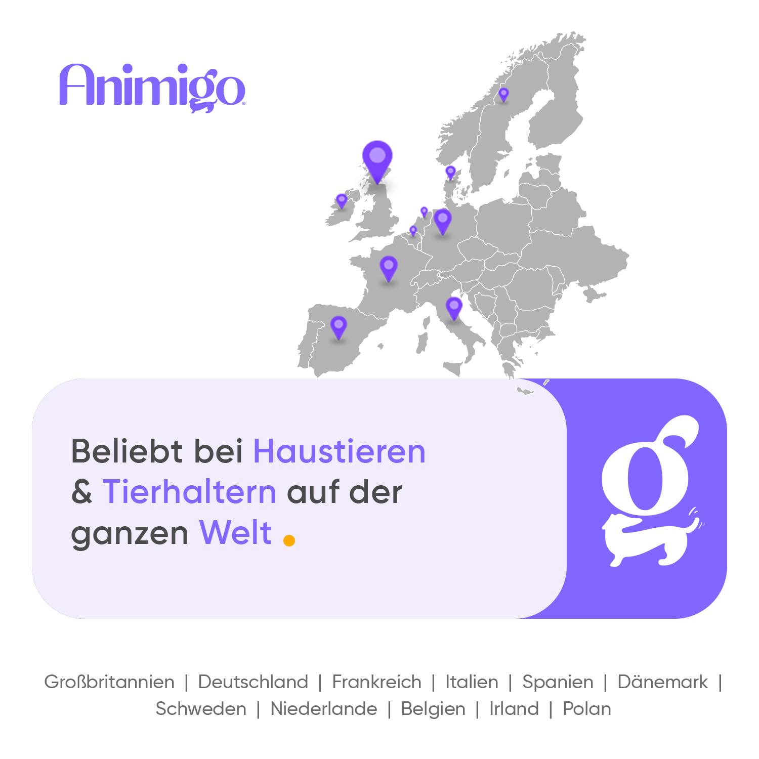 Animigo Multivitamine für Katzen - 120 Vitamine Kausnacks - Mit Vitamin B Komplex(Biotin, Folsäure), C, D3, Kalzium, Eisen, Kupfer, Jod, Zink - 18 Mineralien & Vitamine für Katzen & Kätzchen Immunität