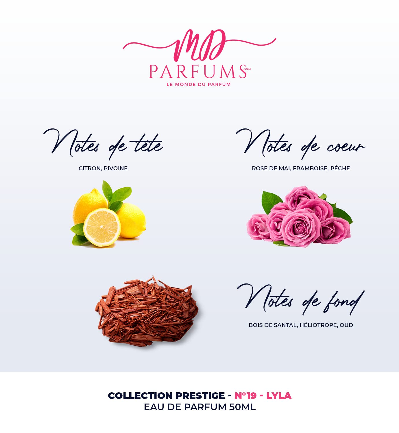 MDPARFUMS Eau de Parfum Black Klej I 50ml Made in France I Lyla № 19 - Kolekcja Prestige Paris I Perfumy dla mężczyzn i kobiet