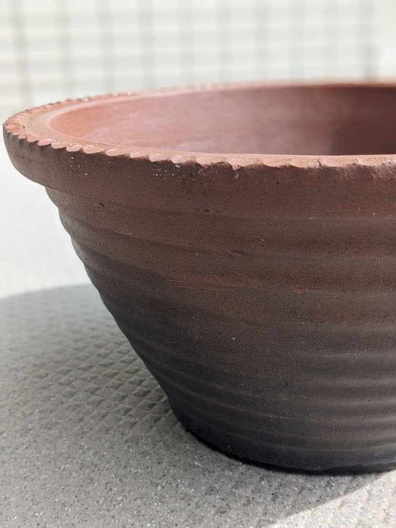 金魚鉢陶器　素焼き Amazon.co.jp: 金魚鉢陶器 素焼き 珍しい素焼きタイプ 2年ほどメダカを