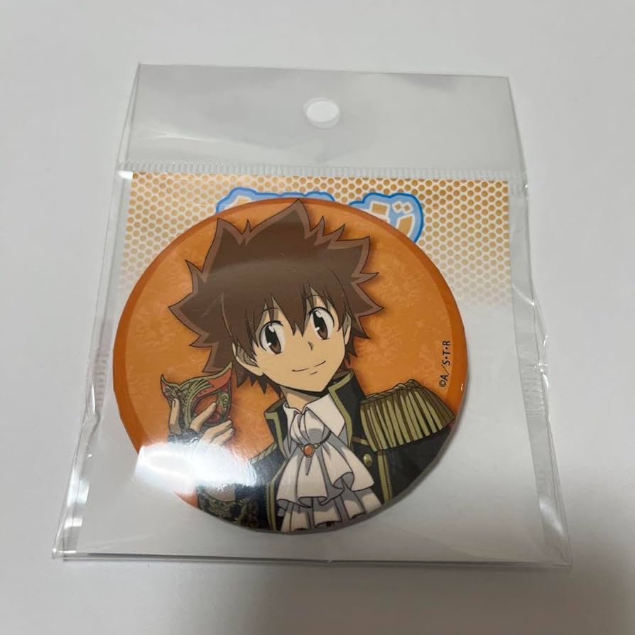 家庭教師ヒットマンREBORN リボーン 沢田綱吉 缶バッジ A1