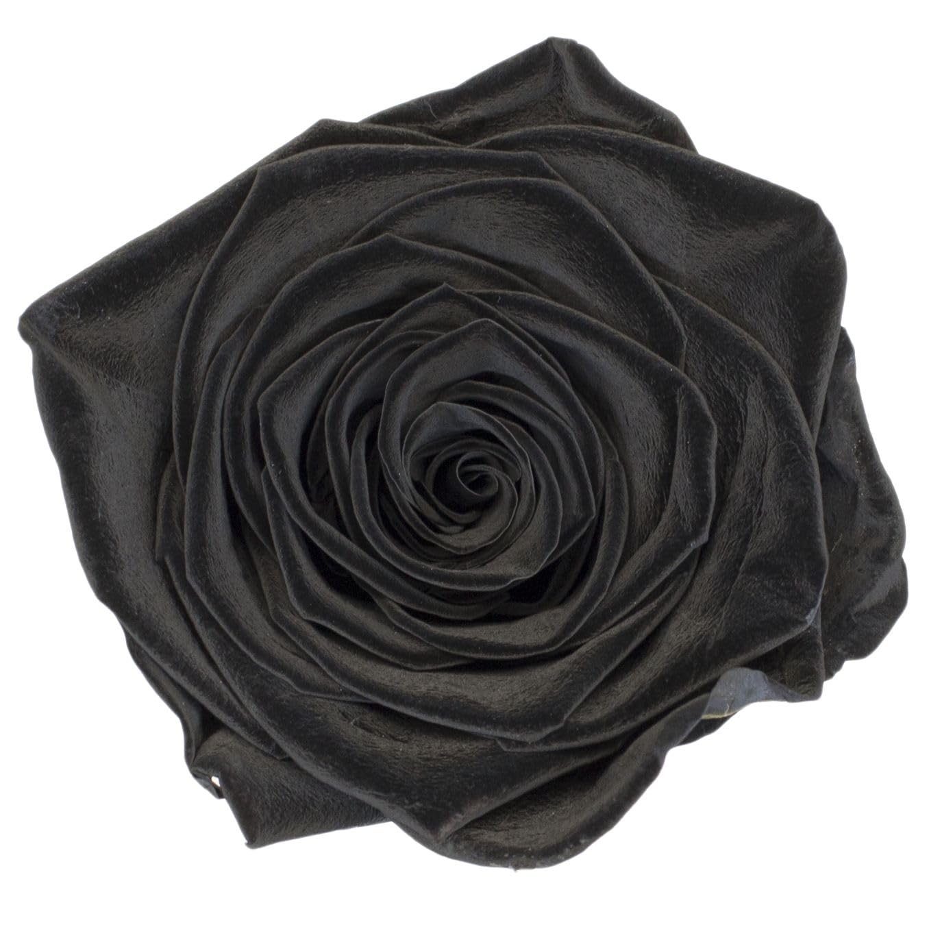 21 Stück Konservierte Rosen - Ewige Blumen Für Geschenke & Deko