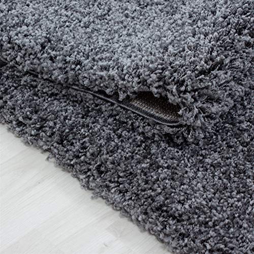 Abaseen Small Large Shaggy Rug Modern Rugs Living Room Extra Large Small Medium Rectangular Size Soft Touch Thick Pile Living Room Area Rugs Non Shedding (Dark Grey, 160x230 cm) - Image 3