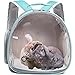 Guinea Pig Backpack Carrier, Bearded Dragon Carrier Backpack with Clear Bubble Window,Small Animal Travel Backpack for Hedgehog Rat，Chameleon,Rabbit,Sugar Glider,Airline Approved (Green, Backpack)