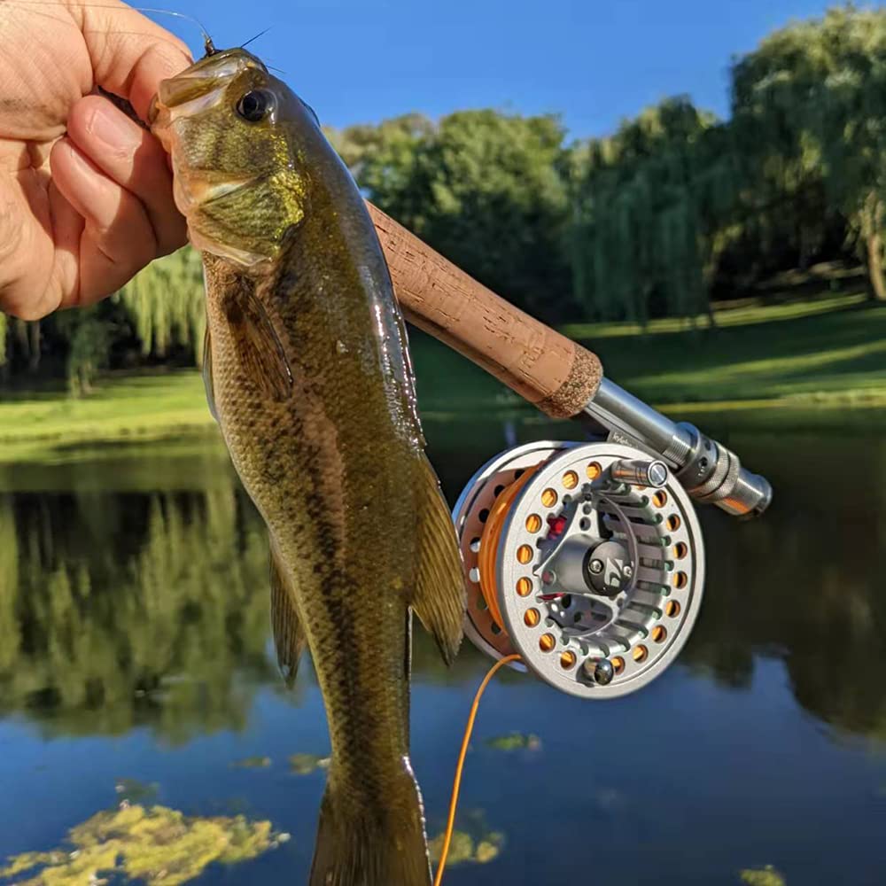 Kylebooker Carrete de pesca con mosca, eje grande con cuerpo de aluminio, carrete de mosca 3/4 wt 5/6 wt 7/8 wt
