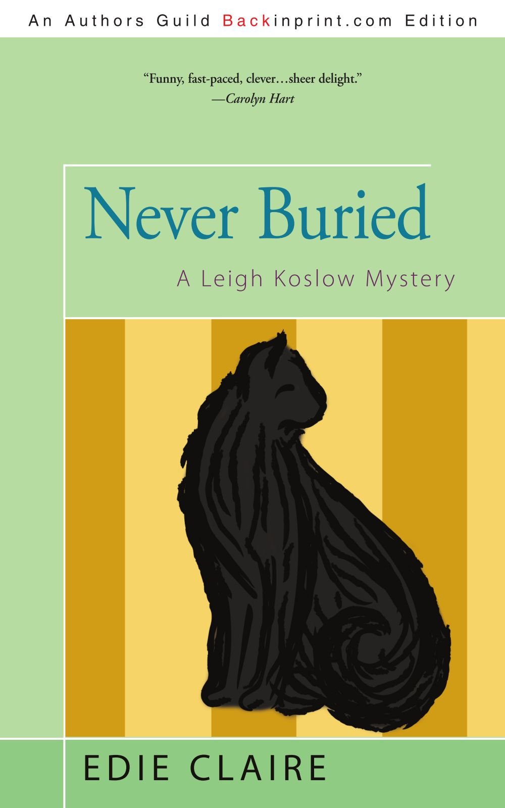 Buy Never Buried (Leigh Koslow Mytery) — BookShops.in