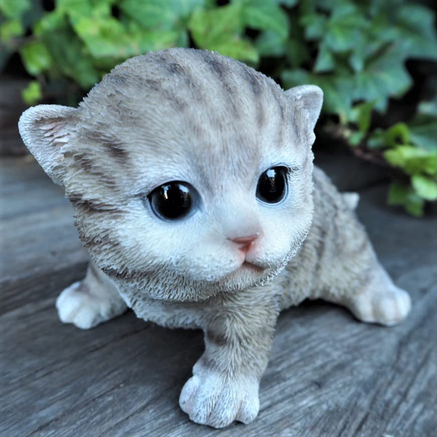 Amazon.co.jp: 猫の置物 アメショ 子猫 1225QYL アメリカン