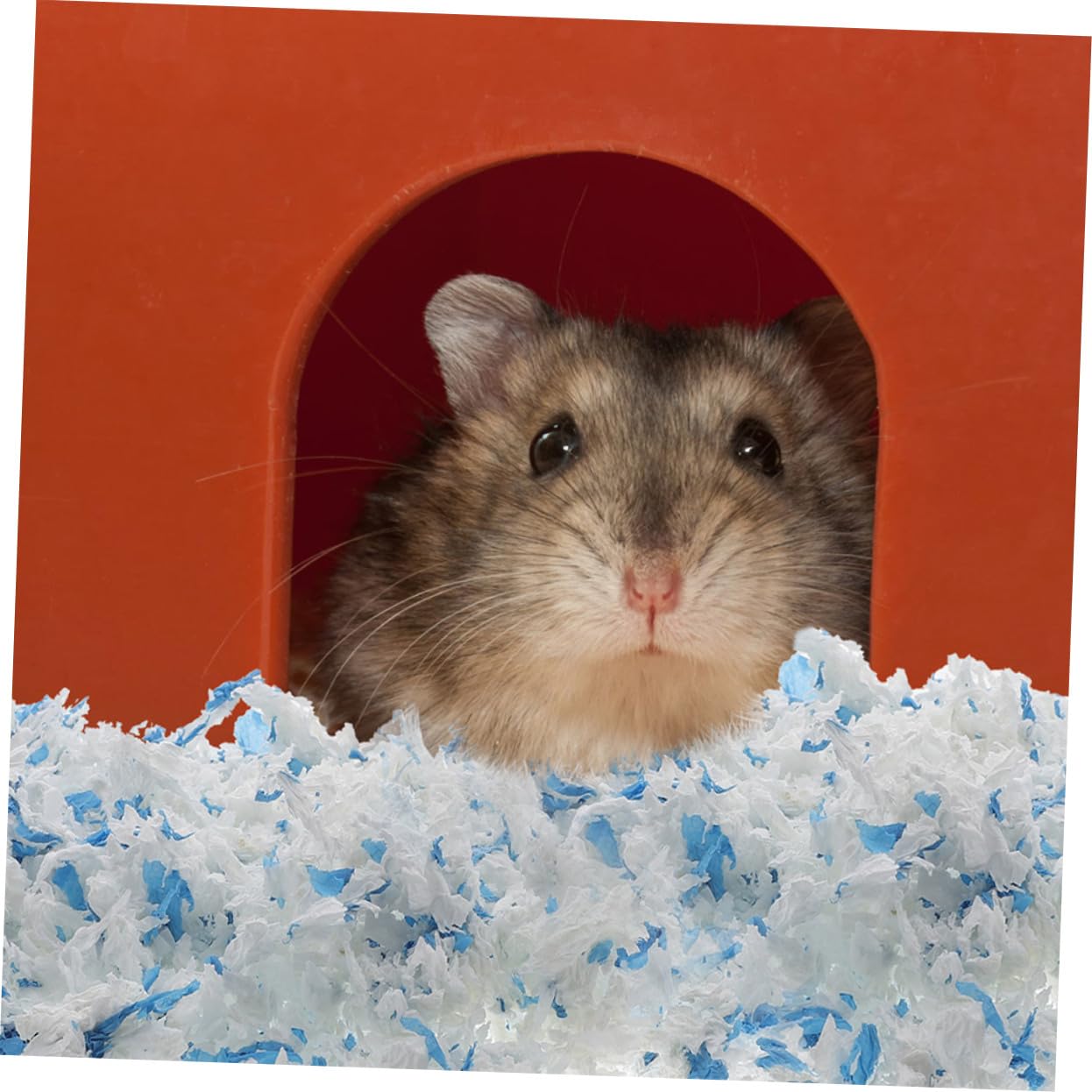 Käfigeinstreu aus Papier, 2 Beutel, Staubarm für Kleintiere | Chinchillas und Meerschweinchen, Weiche Papierfasern, für Innenkäfige, Saugfähige Einstreu