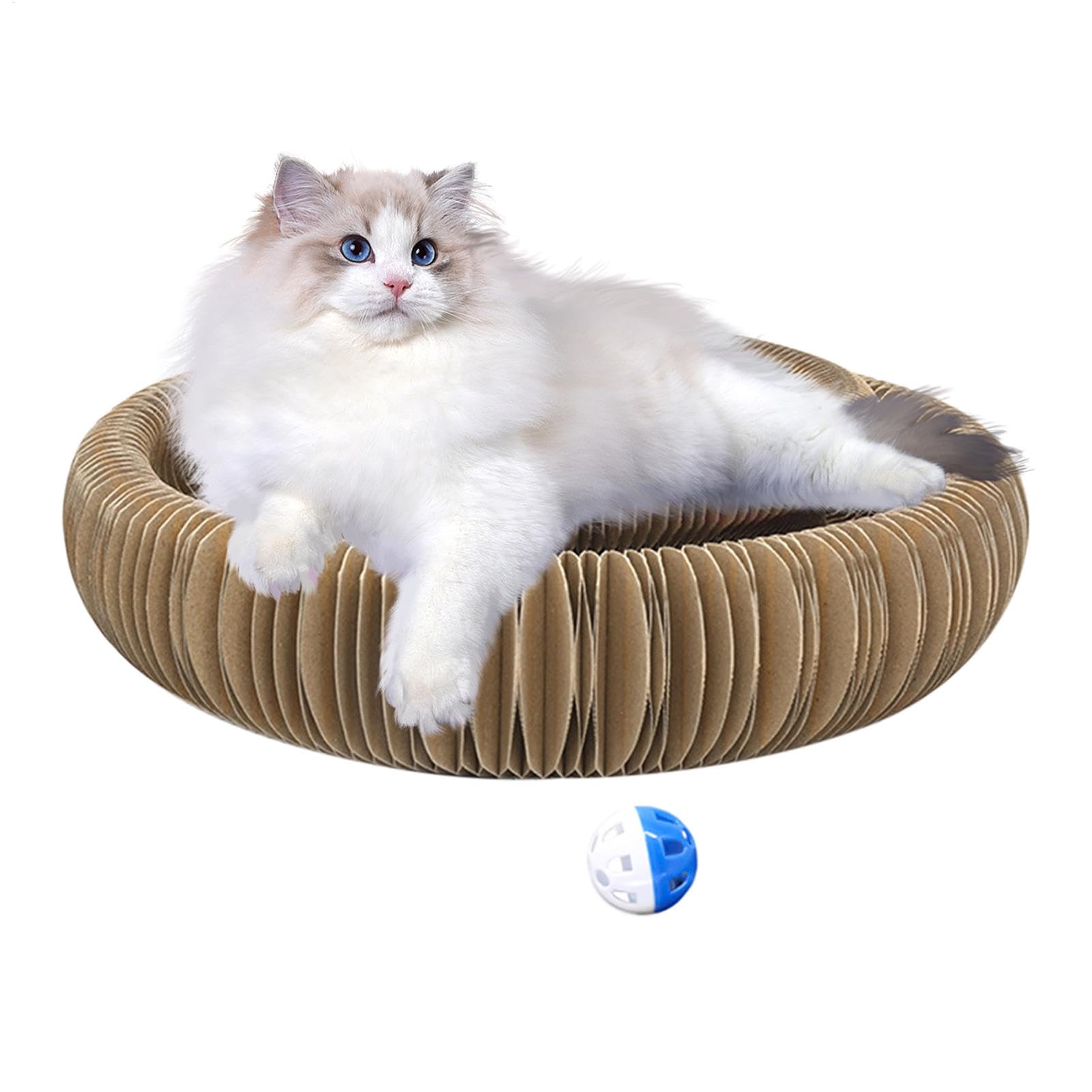 Amazon.co.jp: キティ カール ボール紙猫のおもちゃ、キティ
