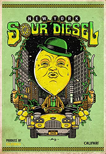 Califari New York Sour Diesel Full Color Strain Art Poster - Weed Decor Posters for a Home Dorm Store Dispensary or Smoke Shop - 13" x 19" Lithograph Print
