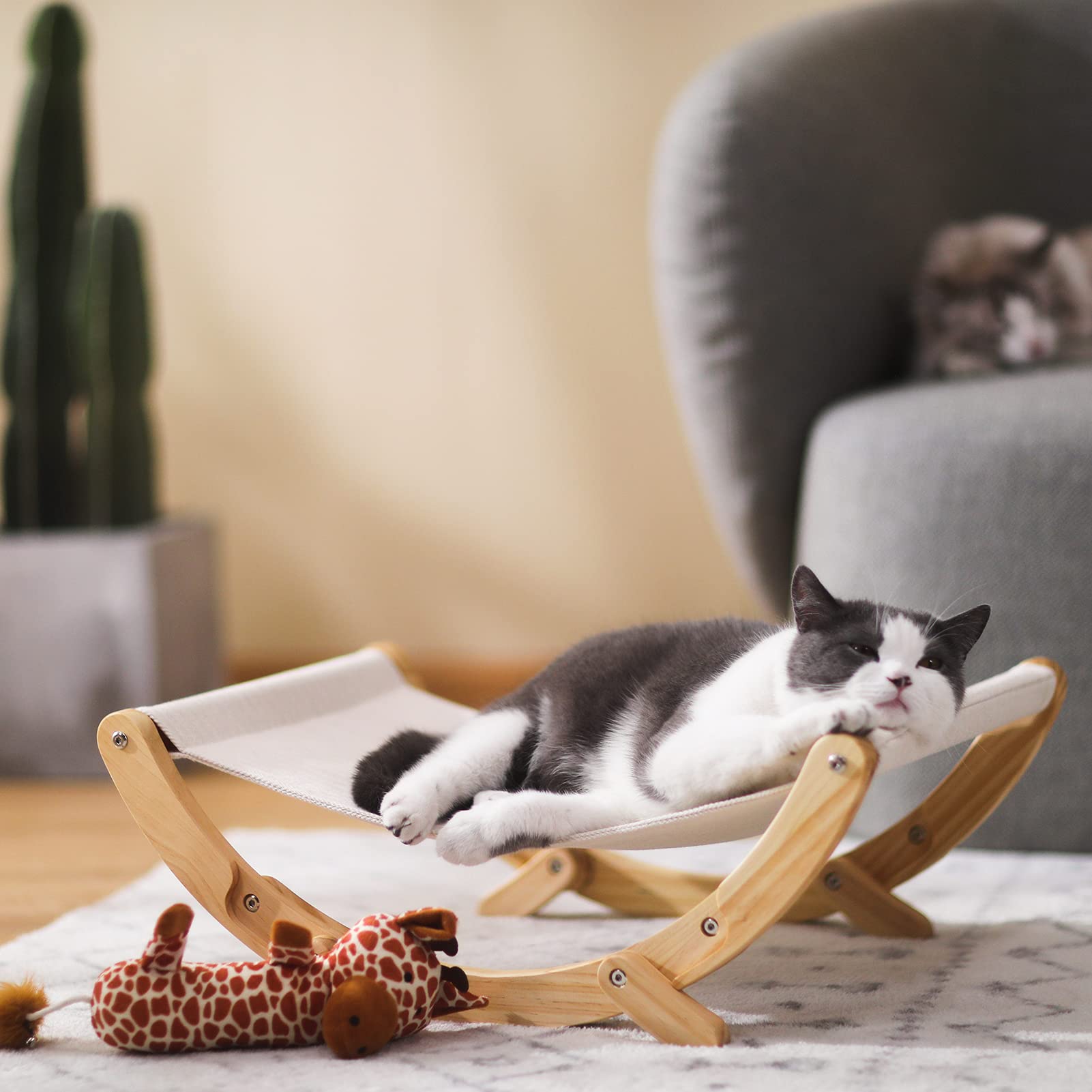 Amazon.co.jp: FUKUMARU猫ハンモック-ニュームーンキャット