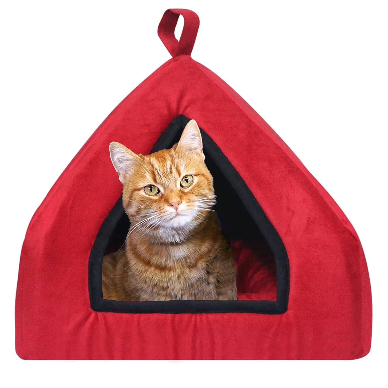 Mellifluous Premium Soft Velvet Cats Kittens Pet Hut House 3 Months