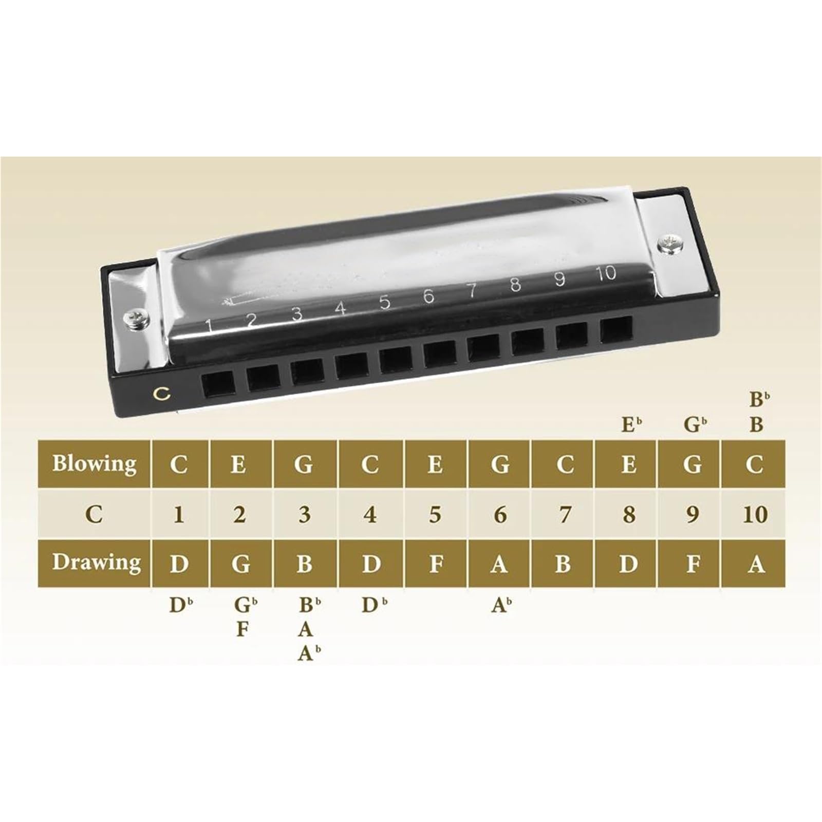 Armonica Blues Diatonica 12 Tasti 10 Fori Opzionali 20 Note Con Custodia Per Pianoforte