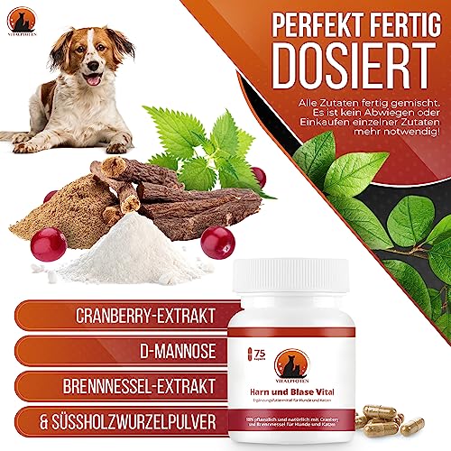 Vitalpfoten 75 Harn und Blase Vital Kapseln für Hunde & Katzen mit Cranberry, Mannose und Brennnessel, pflanzliche Hausmittel - Rezeptur für die Blase und Harnwege